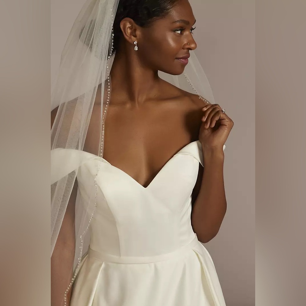 NWT David’s Bridal Scalloped Sparkle Cathedral Veil In Ivory